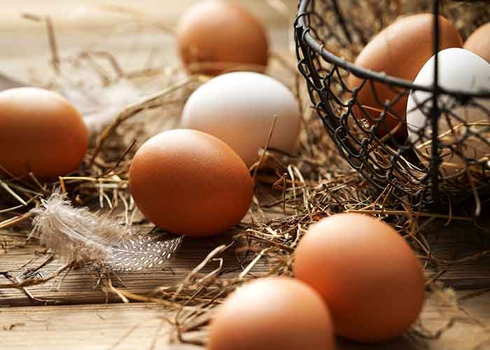 allergene-C-Eier-gastronomie Allergene C: Eier Gastronomie